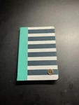 Dabney Lee Ipad Mini 2 & 3 Case Blue White Stripes (B8). Fixed Price $6.00.