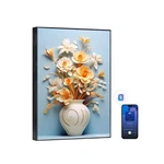 Thomson Wireless Bluetooth Speakers With Remote Control,art Painting Decorati.... Fixed Price $143.80.