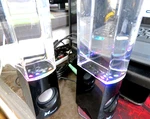 Xcellon Led Water Speaker - Dancing Fountain Light Show For Pc & MP3 Music Lover. Fixed Price $7.99.