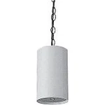 Valcom S-520BW S-520B-W 25/70 Volt Pendant Speaker White. Fixed Price $215.74.