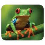 Green Frog Wild Animal Theme Mat For Desk Computer Laptop .... Fixed Price $14.42.
