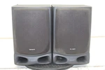 Aiwa SX-NV20 Speaker Pair. Fixed Price $40.49.