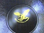 15" Subwoofer ( Golden Eagle Audio W, Dual 4 Ohm GEC-15-500W). Fixed Price $142.50.