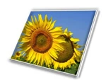 New 14" Wxga Led Lcd Screen For Asus X45A-HCL112G Laptop. Fixed Price $80.76.